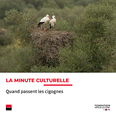 Minute culturelle