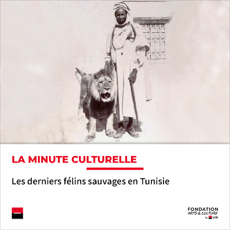 Minute culturelle